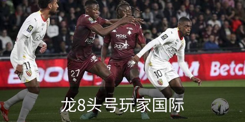 龙8头号玩家国际概况